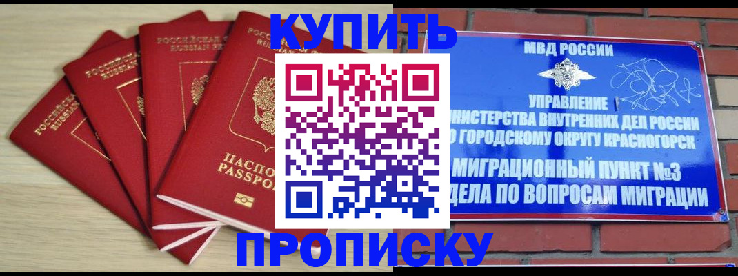 временная регистрация для всех в Новозыбкове